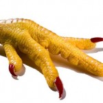 pata de pollo para pescar a los pulpos